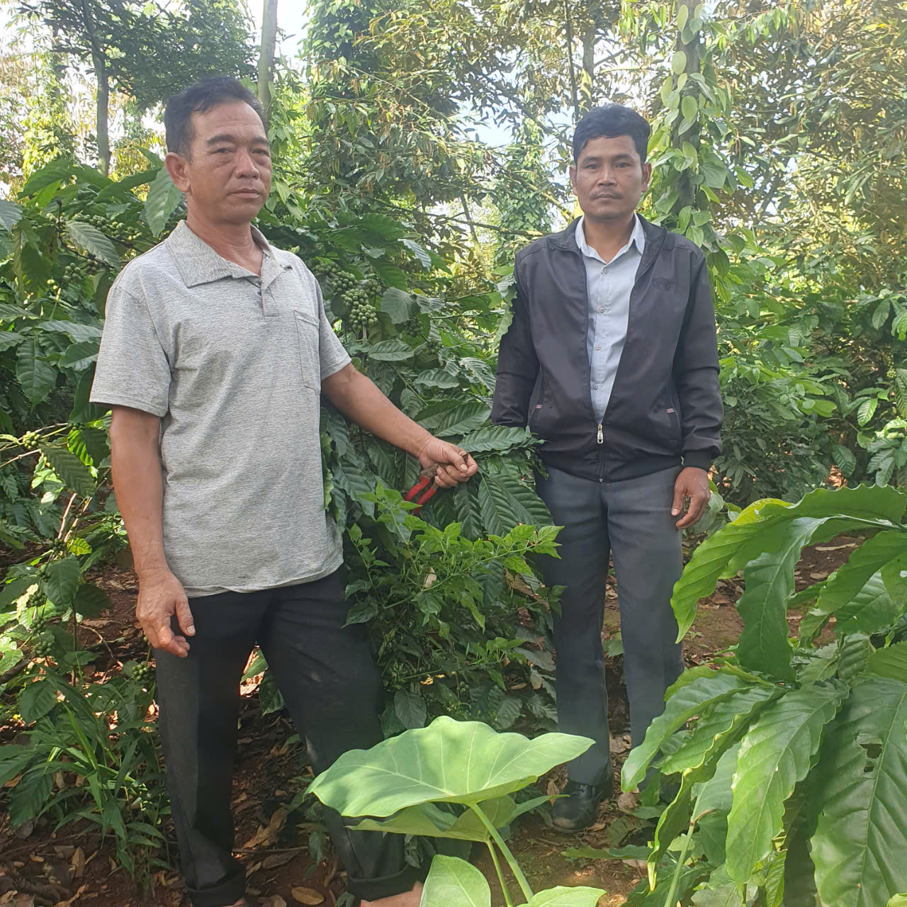 TỔ CHỨC KIỂM TRA VÀ SINH HOẠT TỔ THƯỜNG KỲ TỔ VAY VỐN HỘI CỰU CHIẾN BINH TẠI  BUÔN KANG